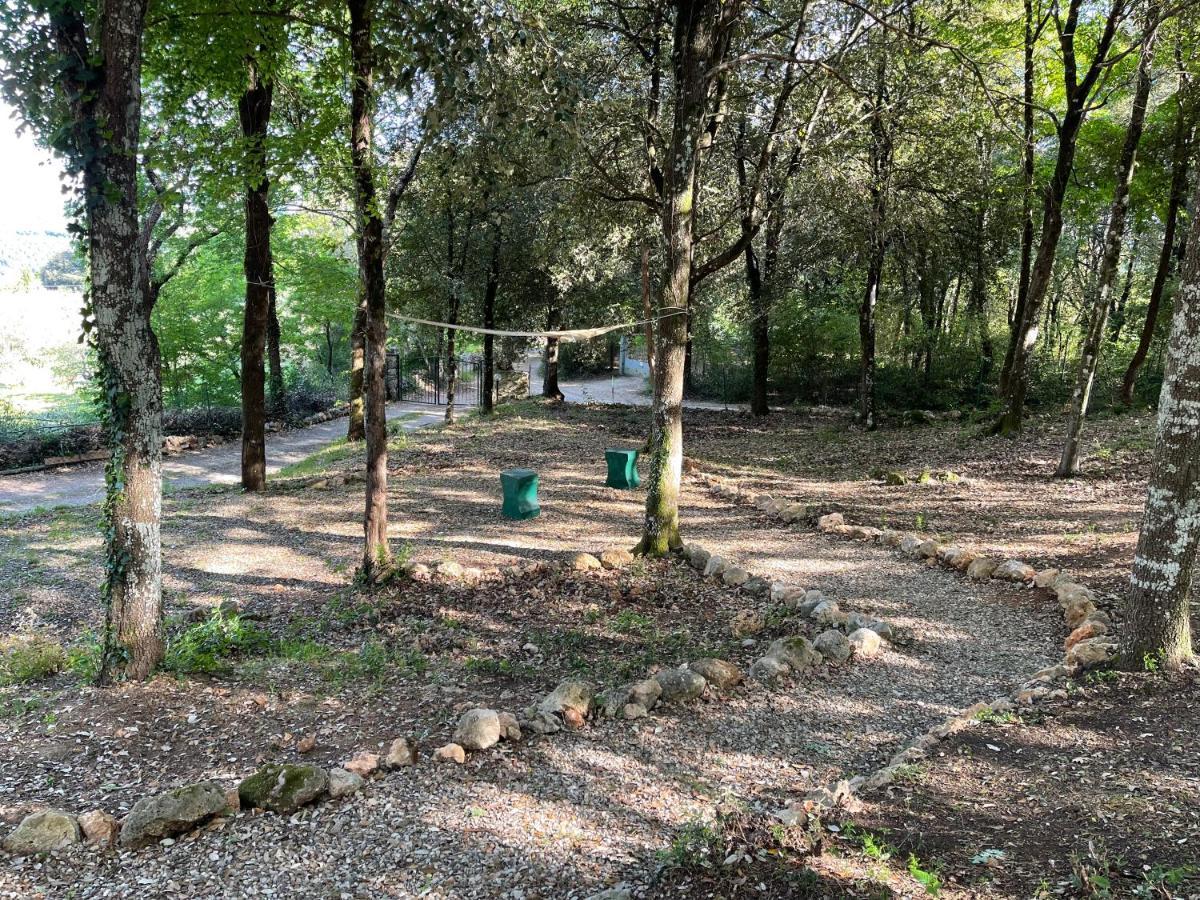 Villa Lilia by Let Siena Esterno foto
