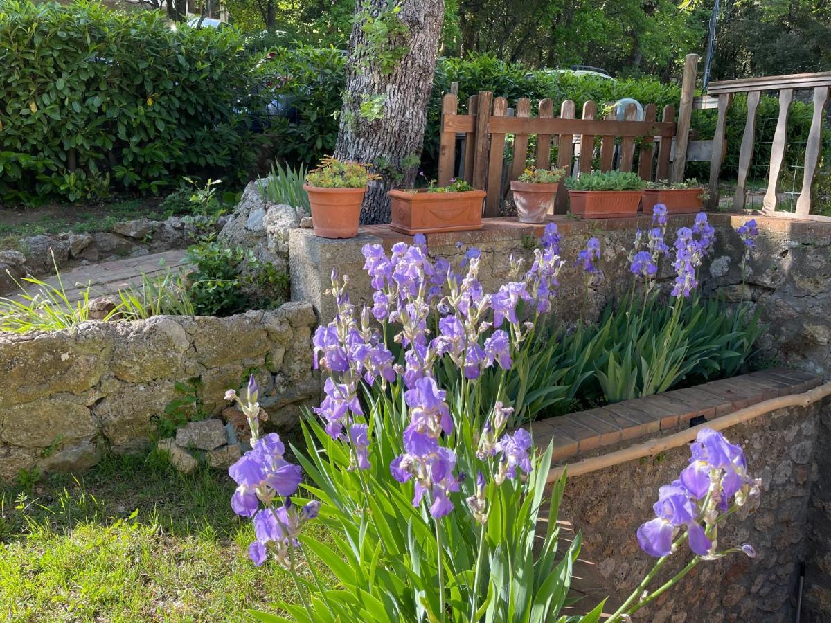 Villa Lilia by Let Siena Esterno foto