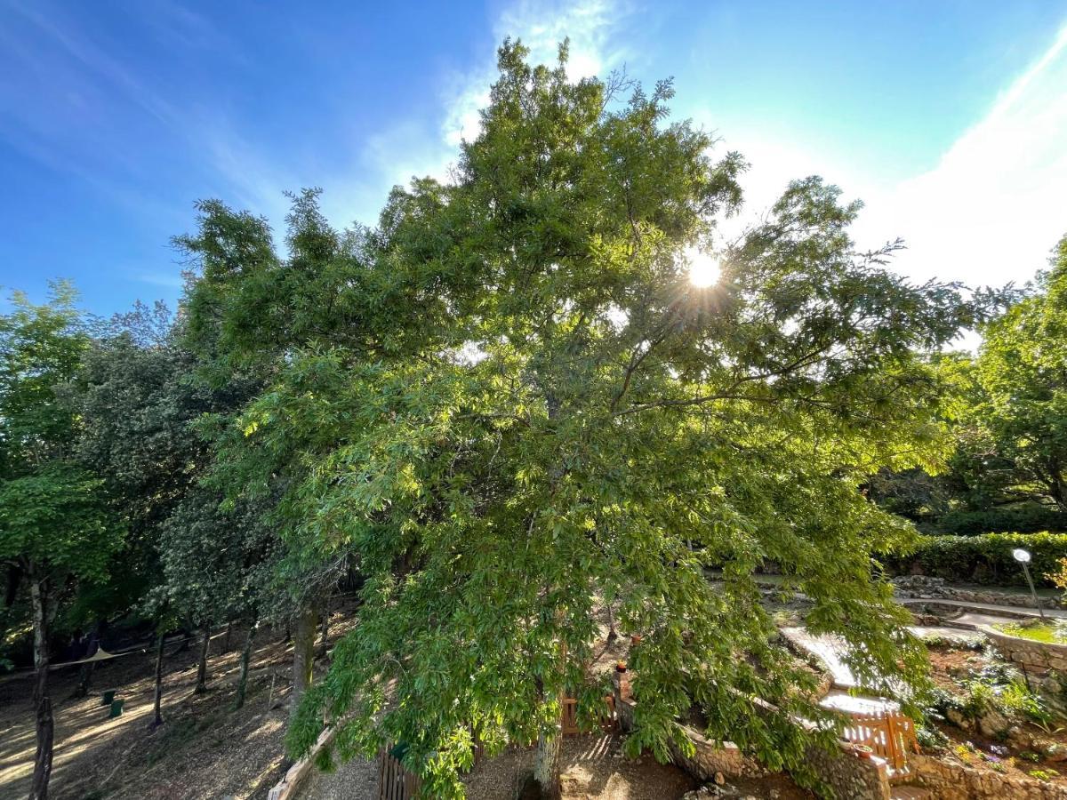 Villa Lilia by Let Siena Esterno foto