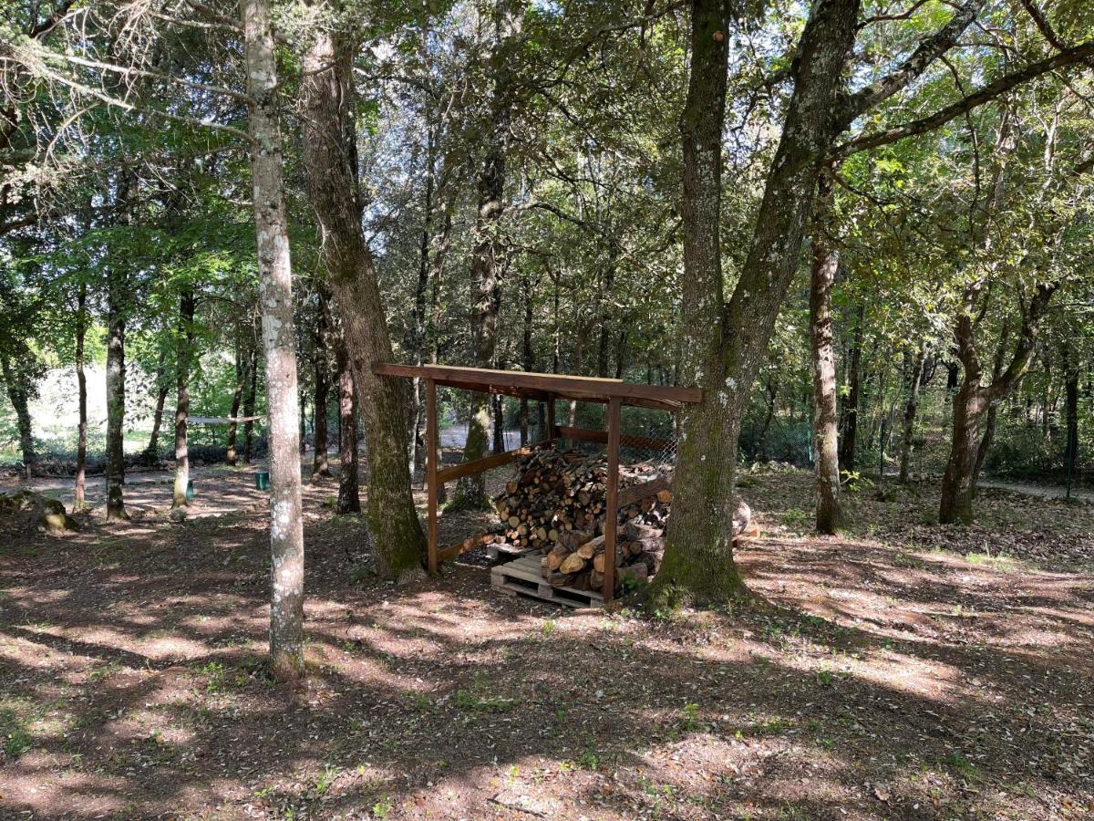 Villa Lilia by Let Siena Esterno foto